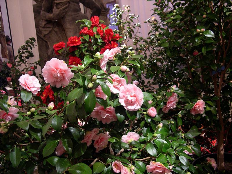2006-03-11, Palaisfrühling (3).JPG